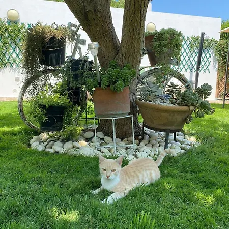 Romantica Con Giardino Privato Nel Salento Vakantiehuis *