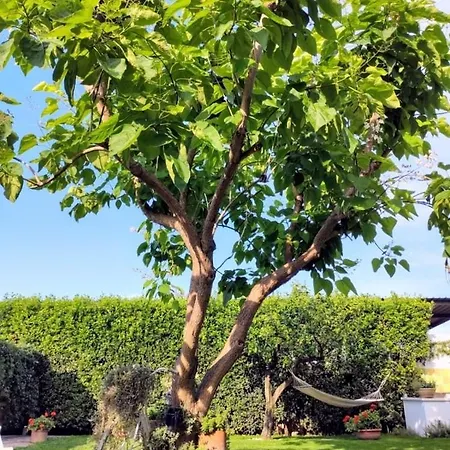 Romantica Con Giardino Privato Nel Salento Vakantiehuis Ruffano